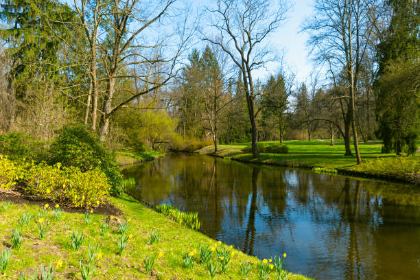 Spring landscape in a park with a pond. Walk in the park.