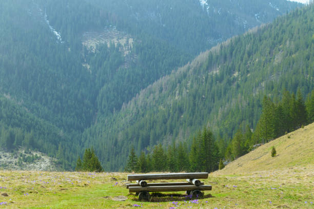 A resting place in a clearing among the mountains. Beautiful mountain landscape. Natural background.