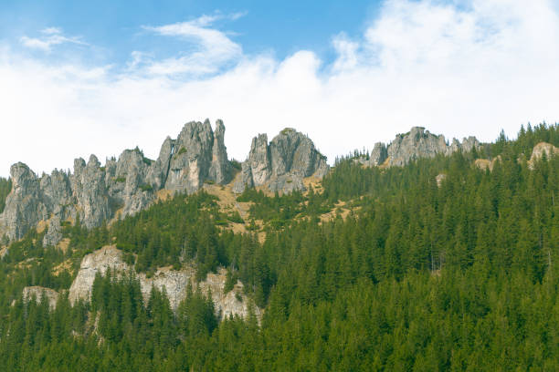 Beautiful mountain landscape. Rocky peaks and spruce forest. Natural background.