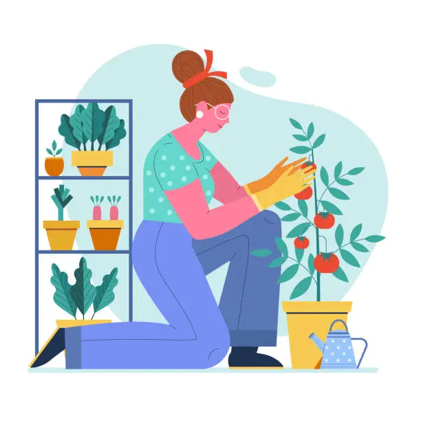 Vector illustration of Woman Growing Veggies Spring Gardening Scene