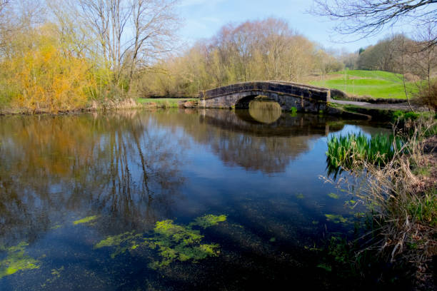 istock Old Stone Packhorse Bridge Over A Pond On A Canal Towpath 2142621428