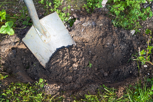 Digging a plant hole in the ground with a spade, brown sandy soil and some weeds around, gardening concept, copy space, copy space, selected focus, narrow depth of field