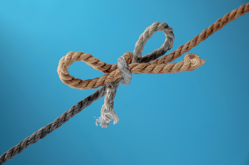 Two ropes, gray and brown, tied together in a bow, concept for teamwork and cohesion, blue background, copy space, selected focus