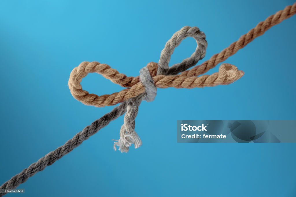 Hai sợi dây, màu xám và nâu, buộc lại với nhau trong một chiếc nơ, khái niệm cho tinh thần đồng đội và gắn kết, nền màu xanh, không gian sao chép - Trả phí Bản quyền Một lần Làm việc nhóm Bức ảnh sẵn có Hai sợi dây, màu xám và nâu, buộc lại với nhau trong một chiếc nơ, khái niệm cho tinh thần đồng đội và gắn kết, nền màu xanh, không gian sao chép - Trả phí Bản quyền Một lần Làm việc nhóm Bức ảnh sẵn có