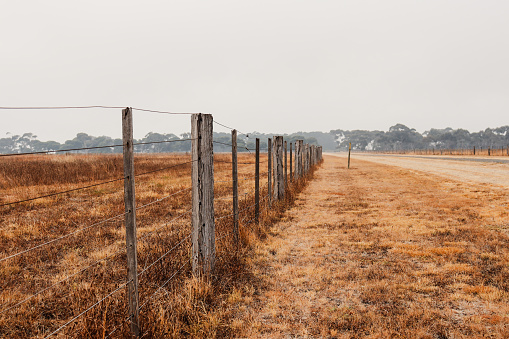 fence in field in dry summer landscape in morning fog
