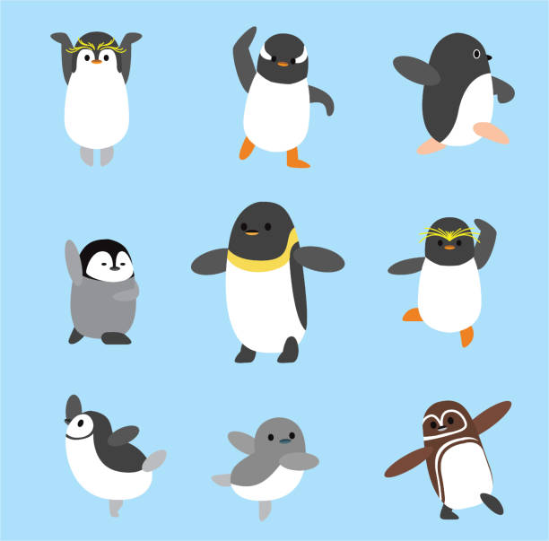 Penguin Cute Chibi Cartoon Ballet Dance Set Character Vector Animal Cartoon EPS10 File Format magellanic penguin stock illustrations