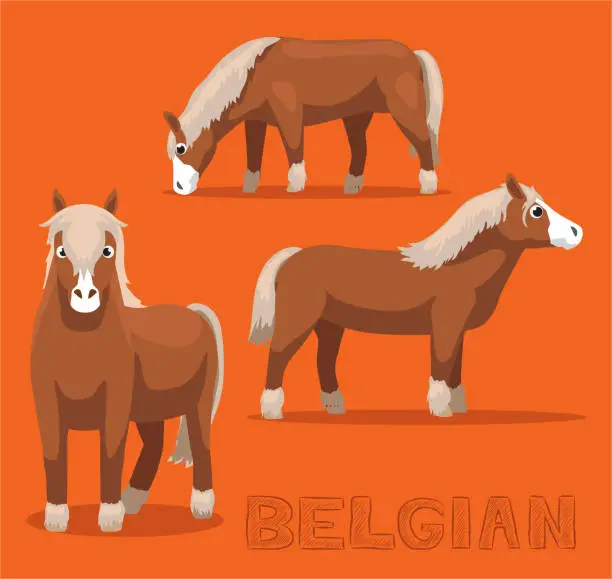 Vector illustration of Horse Belgian Cartoon Vector Illustration