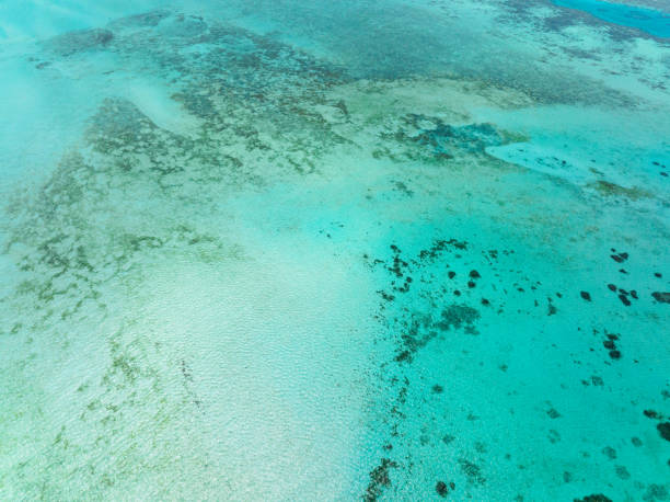 istock Sea water surface in lagoon. 2142714746