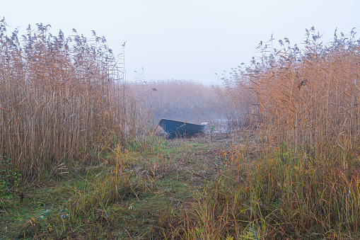 A blue rowing boat lies on the shore of a lake among yellow autumn reeds. The surface of the water and the morning fog are visible. Background.