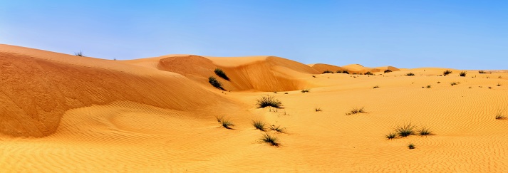 Al Hawiyah, Oman, March 18, 2024: Panoramic view of the sand dunes in the Wahiba desert in Oman.