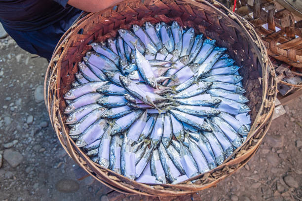 Fresh and cleaned fish in a basket at a marked place close to Bukit Lawang in the northern part of Sumatra - each fish is wrapped in paper