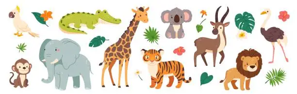 Funny safari animals. Cute cartoon kids animal character. Wild tiger, giraffe, happy koala, African crocodile, jungle monkey. Jungle plant and decorative elements. Vector collection Funny safari animals. Cute cartoon kids animal character. Wild tiger, giraffe, happy koala, African crocodile, jungle monkey. Jungle plant and decorative elements. Vector collection