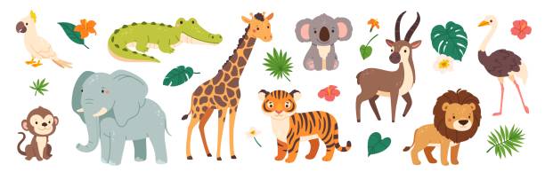 Funny safari animals. Cute cartoon kids animal character. Wild tiger, giraffe, happy koala, African crocodile, jungle monkey. Jungle plant and decorative elements. Vector collection Funny safari animals. Cute cartoon kids animal character. Wild tiger, giraffe, happy koala, African crocodile, jungle monkey. Jungle plant and decorative elements. Vector collection. Tiger, crocodile animal themes stock illustrations
