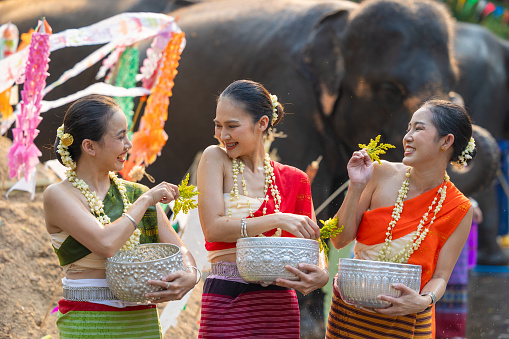 Songkran festival. Northern Thai people in Traditional clothes dressing splashing water together in Songkran day cultural festival with elephant background.