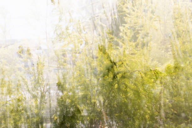 istock Blurred image for background of green bokeh on nature. 2142862170