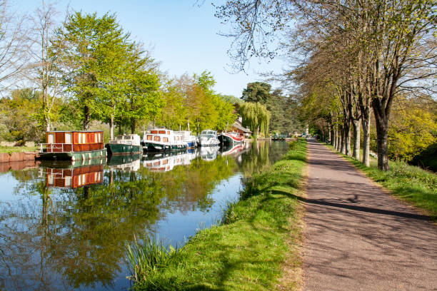 80+ Oust River Photos Stock Photos, Pictures & RoyaltyFree Images iStock