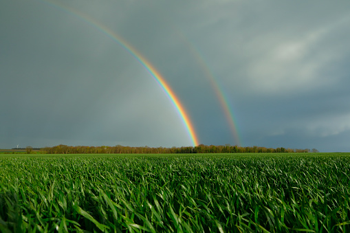 Rainbow over farmland after a thunderstorm