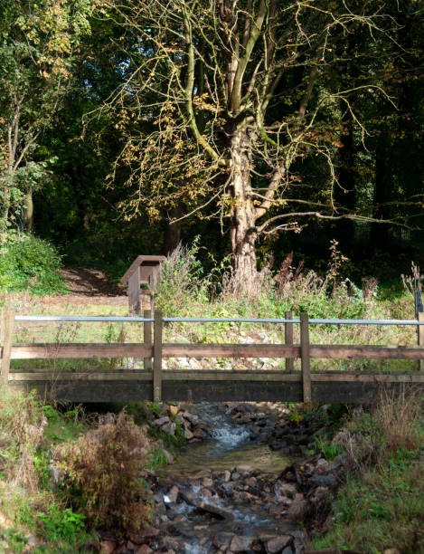 istock Small Wooden Footbridge Over A Stream 2143013141