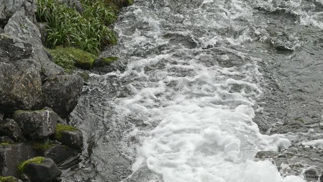 A rocky stream with white water rapids flowing through a lush green landscape.