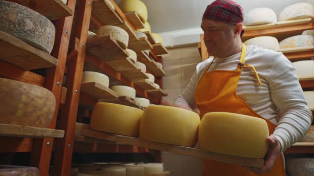 Cheesemaker checks the ripening and smoothness of the cheese wheels