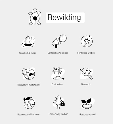 Discover icons for nature conservation: research, ecotourism, wildlife revitalization, carbon sequestration, clean air & water, soil restoration, ecosystem rehab, rewilding