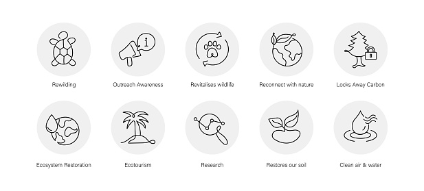 Embrace rewilding icon set, symbolizing efforts to restore biodiversity, reintroduce native species, and conserve natural habitats, fostering ecological balance and sustainability.