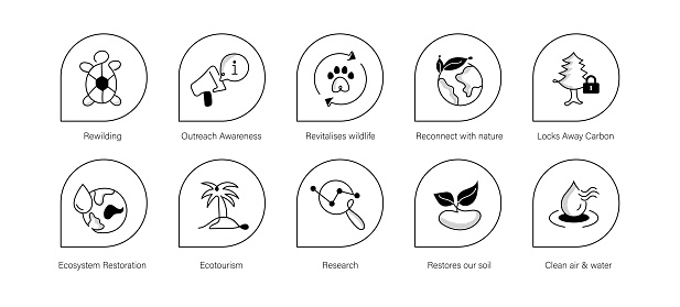 Embrace rewilding icon set, symbolizing efforts to restore biodiversity, reintroduce native species, and conserve natural habitats, fostering ecological balance and sustainability.