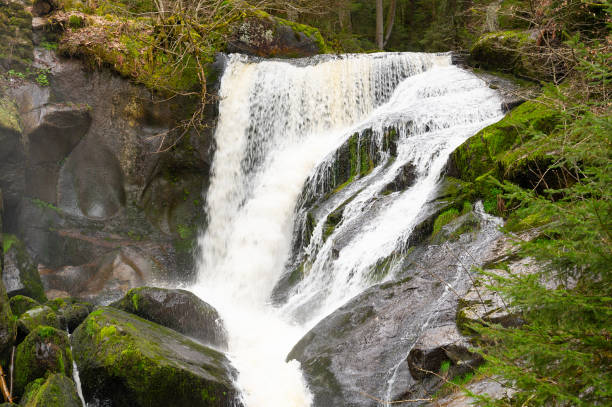 istock Triberg waterfall in the Black Forest, highest fall in Germany, Gutach river plunges over seven major steps into the valley, wooden bridge 2143167730