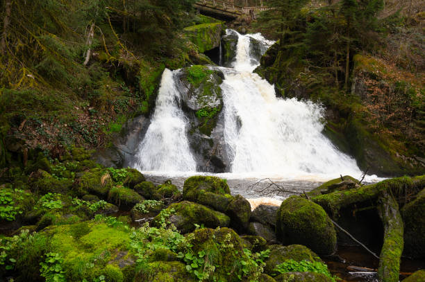 istock Triberg waterfall in the Black Forest, highest fall in Germany, Gutach river plunges over seven major steps into the valley, wooden bridge 2143170358