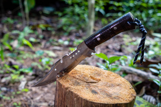 istock hunting knife stuck in tree in forest 2143171381