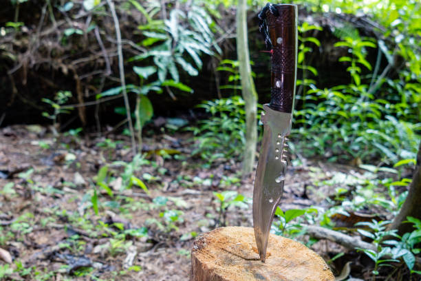 istock hunting knife stuck in tree in forest 2143172956