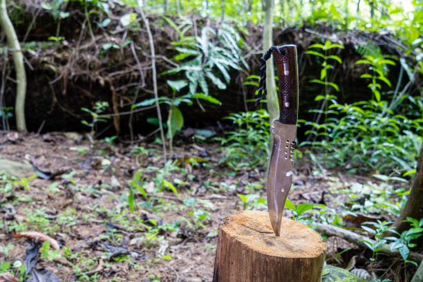 istock hunting knife stuck in tree in forest 2143198391