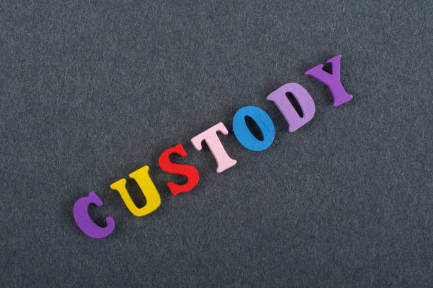 istock CUSTODY word on black board background composed from colorful abc alphabet block wooden letters, copy space for ad text. Learning english concept. 2143263416