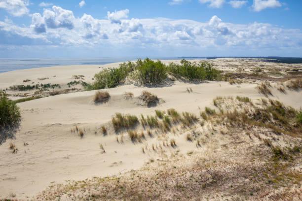 istock Sand dunes on the Curonian Spit 2143278183