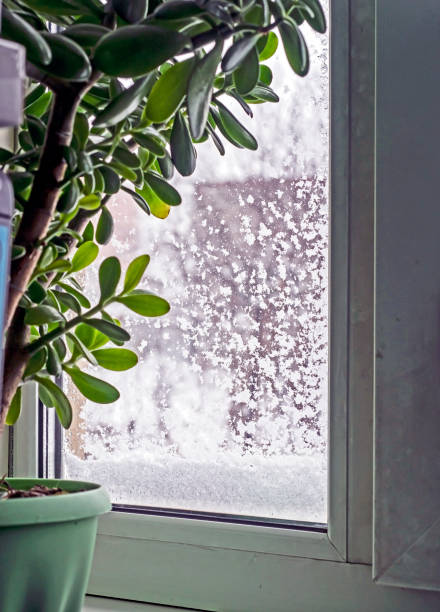 istock wet snow stuck to the window 2143318387