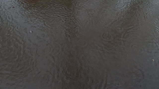 rain drops on the surface of water in a puddle with dark shadow and reflection of sky