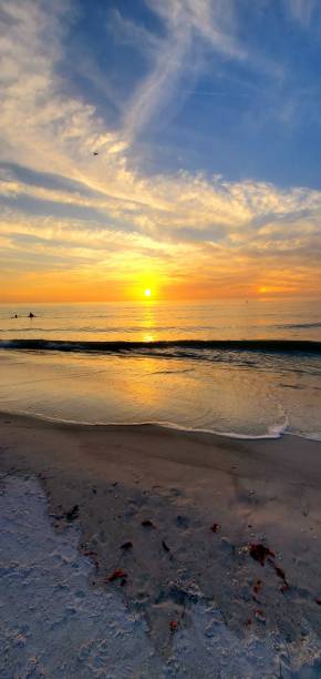 istock Beach, Sunset, and Cloudscape Photos from Pinellas County 2023 2143361923