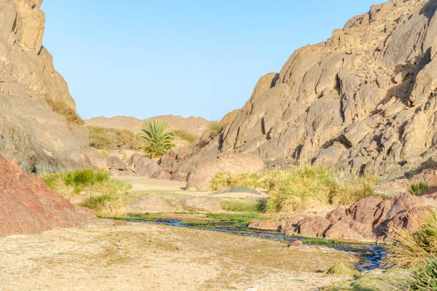 istock Surface level view with reflective flowing water in an arid desert land. 2143369925
