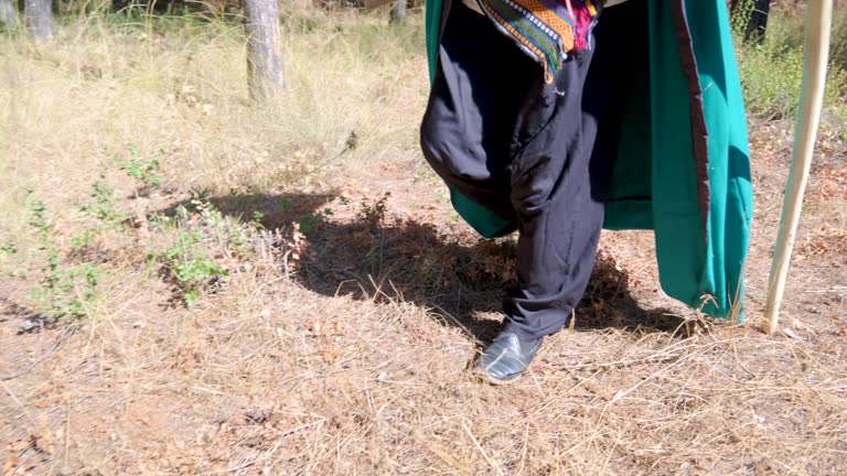 An Anatolian shaman walks in the forest