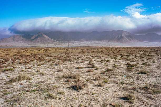 Plateau mountains grassland