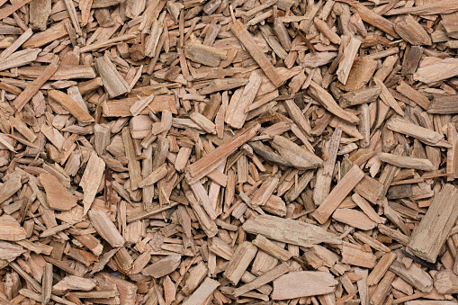 Cedar Wood chips (Cedrus). Close-up, table top view, format-filling.