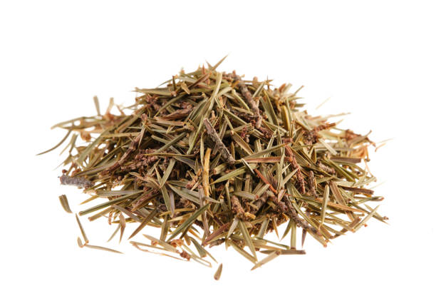 istock Pile of dried juniper needles and tips (Juniperus communis), isolated on white background 2143411780