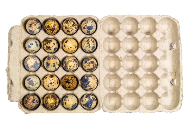 istock packaging of quail eggs isolated on white background 2143433927