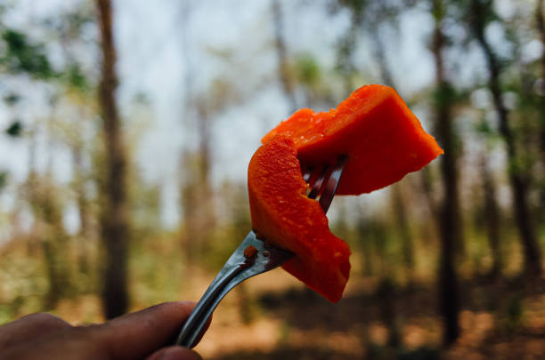 sweet red papaya