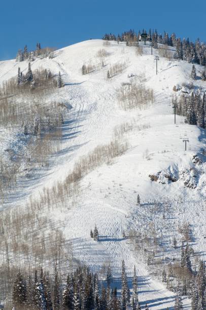 istock Winter Wonderland Skiing Scene 2143537135