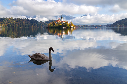 Beautiful view of lake Bled during sunrise in autumn. Fog lingering over the lake with island and old catholic church. Religion, travel and tourism