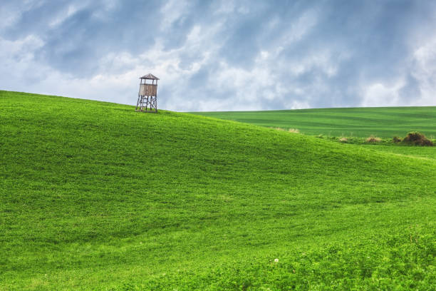 High-stand on a beautiful green hill side with cloudy sky in the background. Beautiful green field with stormy sky.