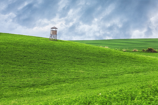 High-stand on a beautiful green hill side with cloudy sky in the background. Beautiful green field with stormy sky.