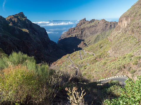 Dramatic lush green landscape with winding curvy mountain road towards Masca village situated in a picturesque valley, Tenerife, Canary Islands, Spain. sunny winter day, blue sky.