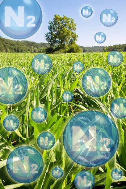 n2 nitrogen gas is the main constituent of the earth's atmosphere - concept with nitrogen molecules against an agricultural field - fertilizer nitrogen potassium particle photos et images de collection